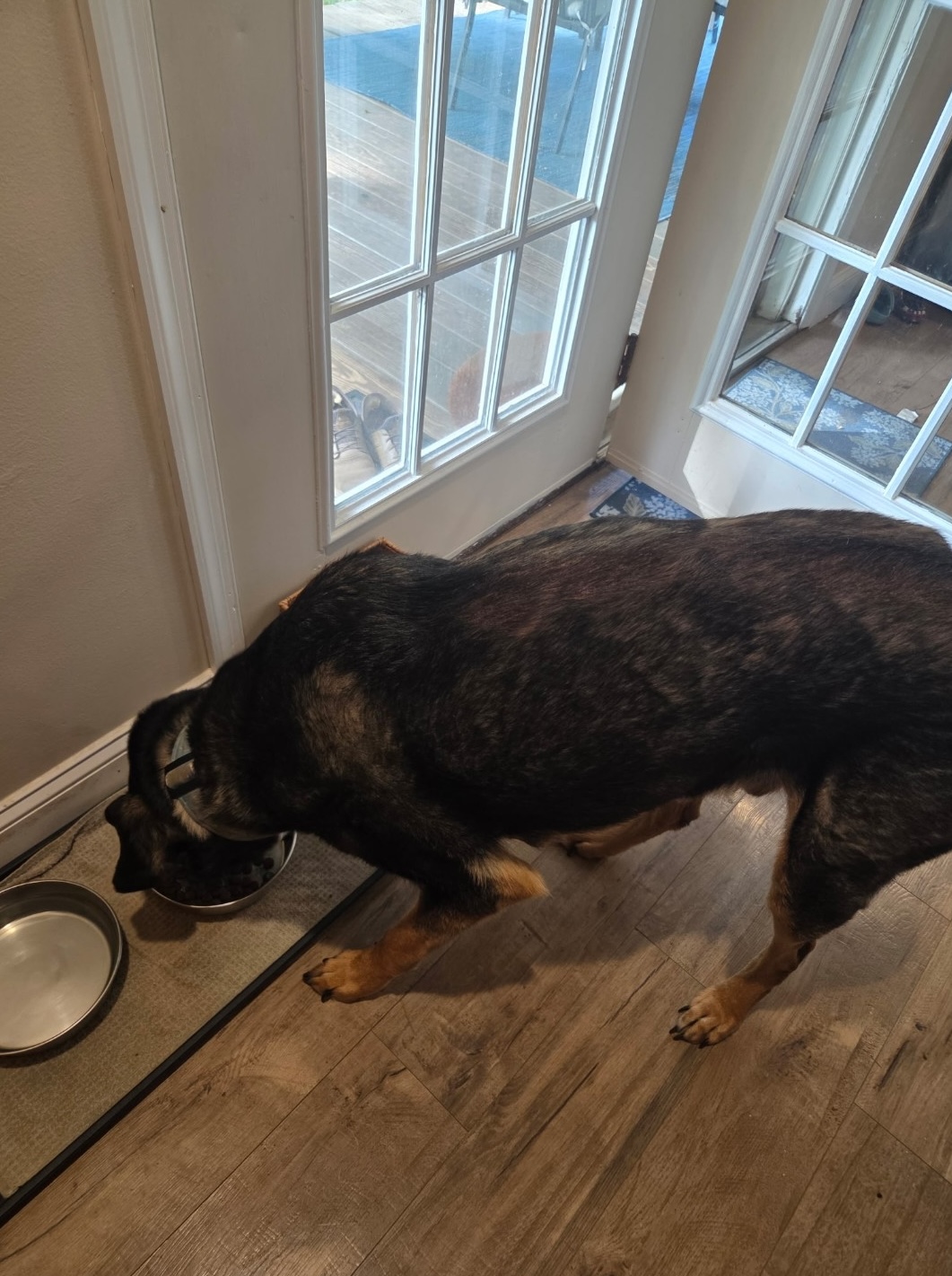 Mid-Day Visits