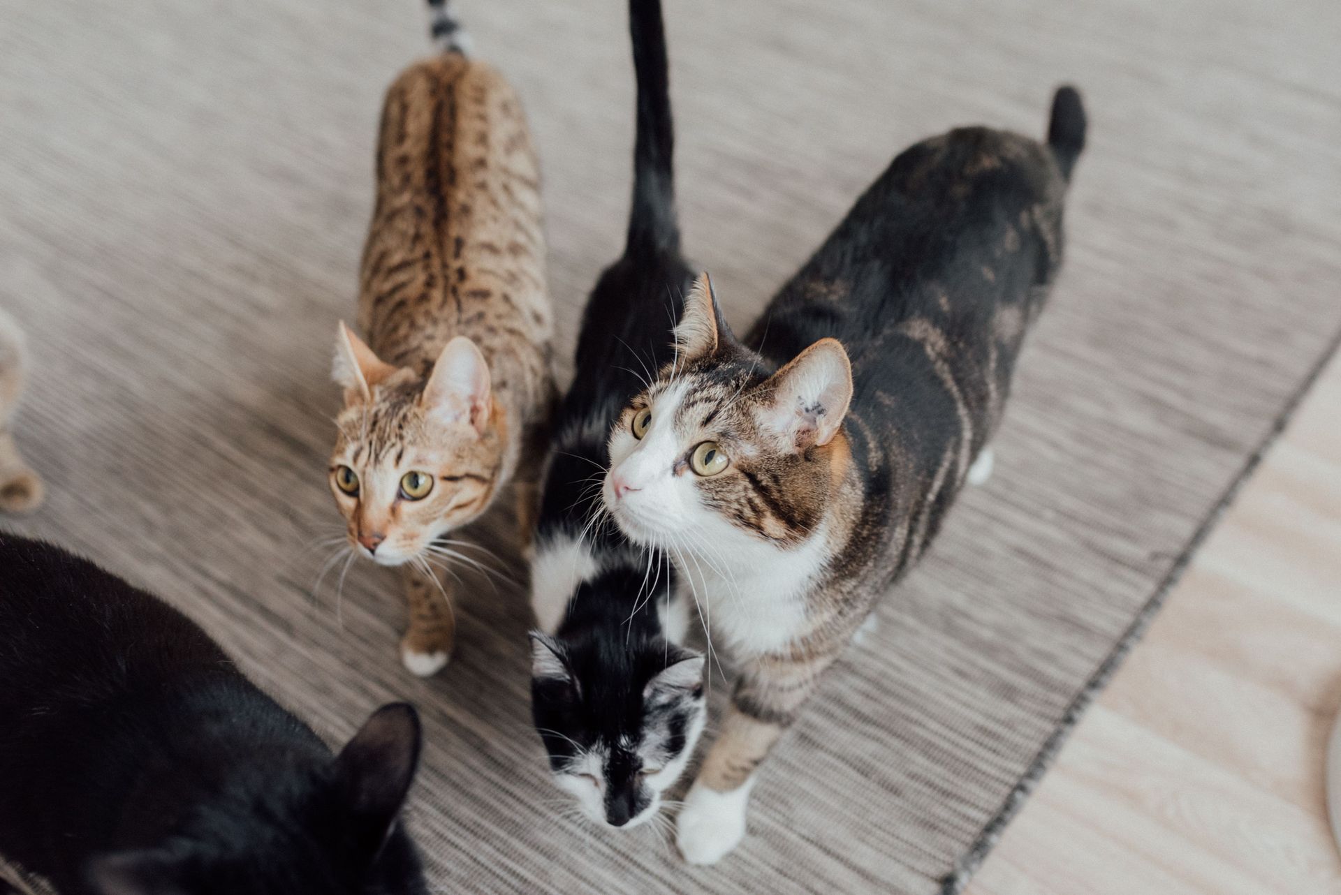 Morning Visits