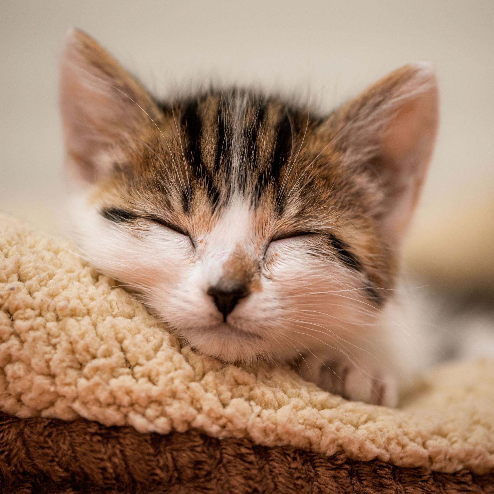 Bedtime Visits