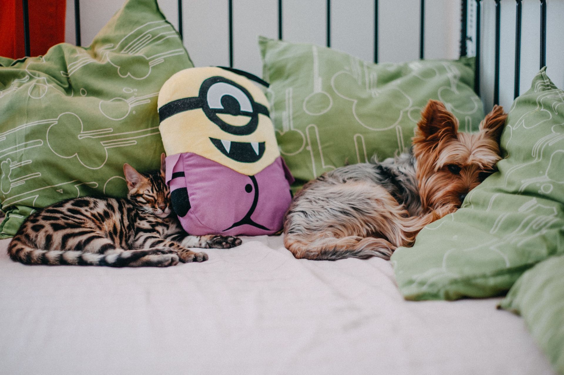 Overnight Stays