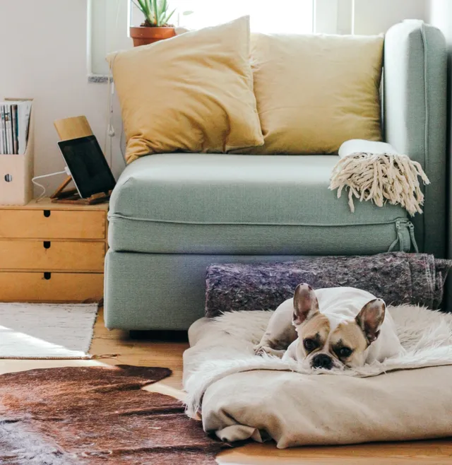 Caregiver with a small dog